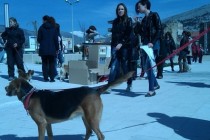 Mostarci održali mirni prosvjed za zaštitu i dobrobit životinja