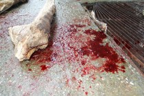 Pokolj napuštenih pasa u Sarajevu