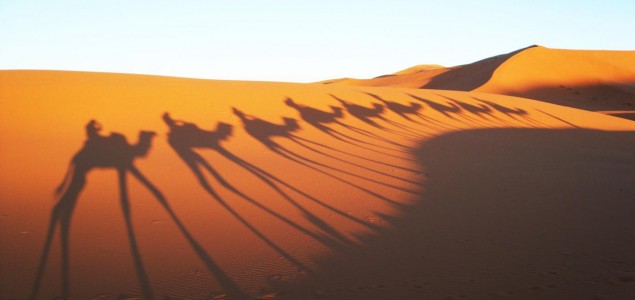 Na zajedničkom putovanju do Sahare!