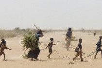 Globalno zagrijavanje prijeti životima biljaka, životinja i ljudi u Africi