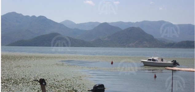 Skadarsko jezero, najveće na Balkanu, spaja dvije države i tri opštine