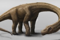 Pronađeni fosilni ostaci najveće životinje koja je hodala Zemljom