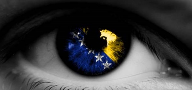 Razvoj konsezualne demokracije u Bosni i Hercegovini