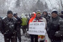 Nedžad Ibrahimović: Sastanak na grevu – tuzlanski zimski protesti