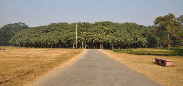 Veliki Banjan: Drvo koje izgleda kao cijela šuma (najšire drvo na svijetu)