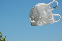 Biorazgradiva plastika se ne razgrađuje brže od obične