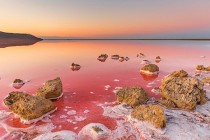 Koyashskoye: Prekrasno ružičasto jezero na Krimu