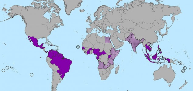 WHO: Virus zika bi se mogao proširiti i na jug Evrope