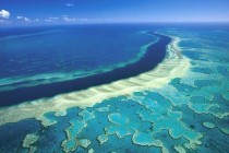 Svjedočimo najgorem masovnom izbjeljivanju Velikog koraljnog grebena