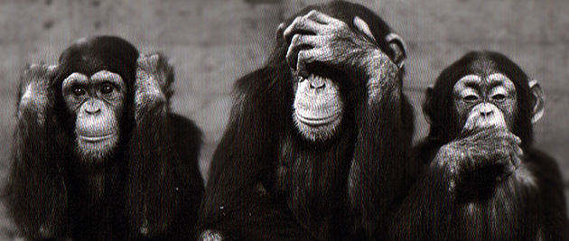 Hrvatska uvezla tri japanska majmuna | Tacno.net