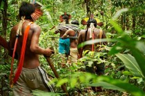 Ostavljanjem šuma autohtonom stanovništvu smanjujemo klimatske promjene