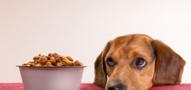Namirnice kojima možete hraniti svog psa, a i vi ih konzumirate