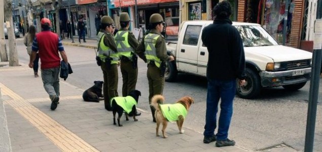 Kako je Čile rešio problem pasa lutalica