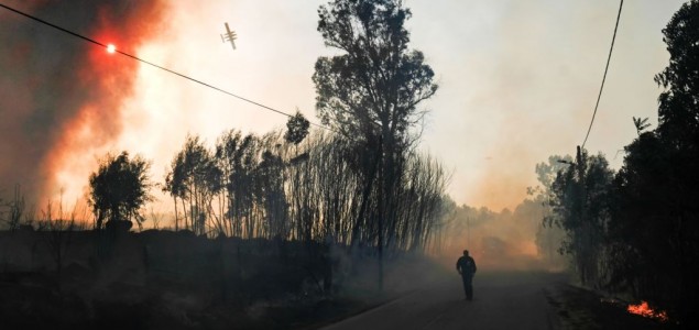 U Portugalu ponovo besne šumski požari