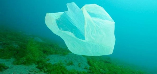 Alarmantno: Do 2050. u moru će biti više plastike nego ribe!