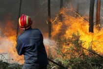 Na požarištima oko Trebinja stanje nije alarmantno, ljudi i objekti nisu ugroženi