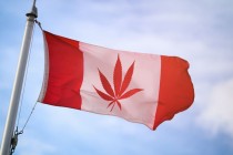 Kanadski senat legalizovao rekreativnu upotrebu kanabisa