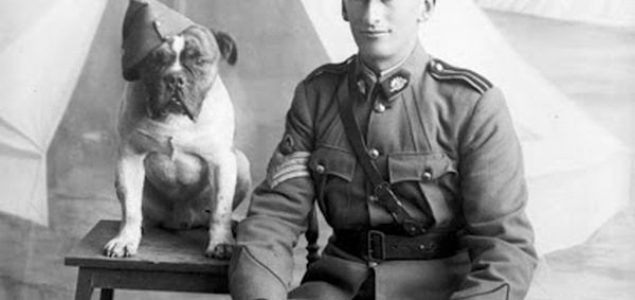 Heroji Prvog svetskog rata: Životinje koje su bile deo savezničke ratne mašinerije