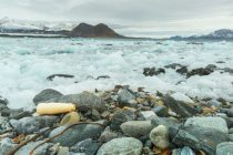 Naučnici upozoravaju na sve više smeća na Arktiku