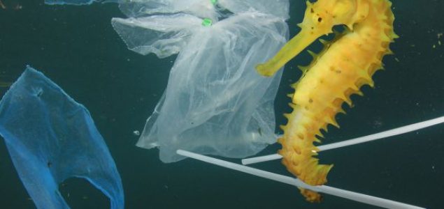 Zabrinjavajuće prognoze UN: Do 2050. u morima će biti više plastike nego ribe