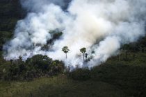 U brazilskom Amazonu najgori majski požari u poslednjih 18 godina