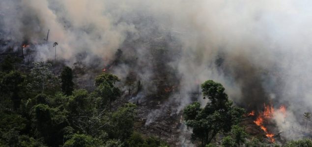 Amazonija i požari: Brazilske kišne šume gore rekordnom brzinom