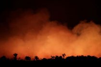Brazil odbio pomoć G7 za borbu protiv požara u Amazoniji