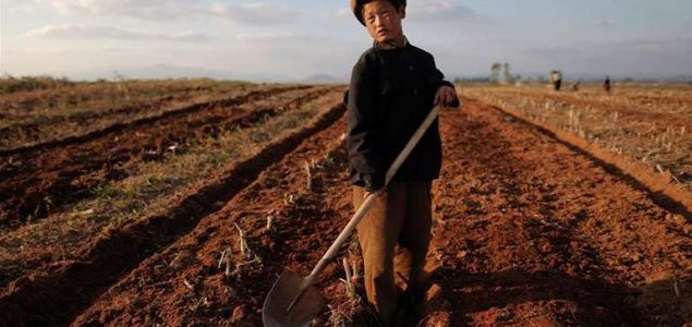 UN: Neuhranjeno 11 miliona Sjevernokorejaca