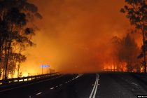 U Australiji pao avion dok je gasio požare, poginula tri člana posade