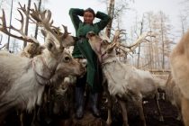 Pleme Dukha u Mongoliji već vijekovima živi s irvasima i vukovima