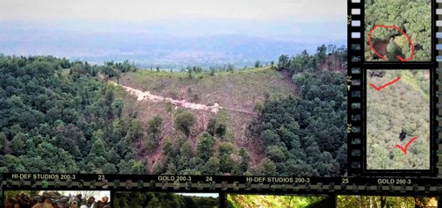 INFORADAR OTKRIVA: Velika pljačka šuma u regiji Banja Luke, kriminalne grupe zarađuju bogatstva (SNIMCI IZ ZRAKA)