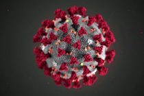 U svijetu se korona virusom do sada zarazilo više od 280 miliona ljudi