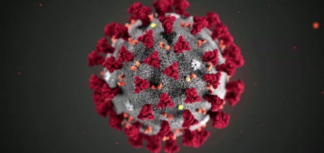U svijetu se korona virusom do sada zarazilo više od 280 miliona ljudi