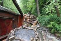 Lov u mutnom na šume i ekocid na području opštine Teslić