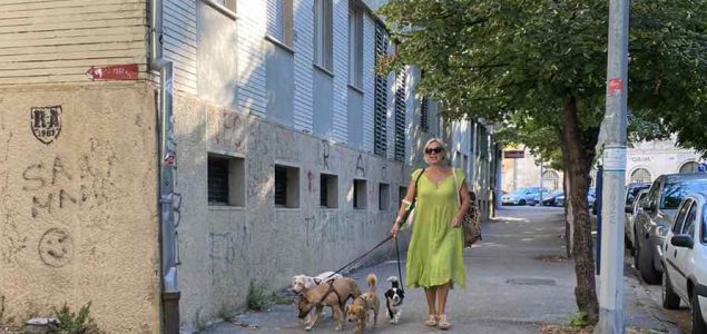 Nijemci će zakonski morati šetati pse barem dva sata u danu