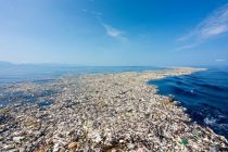 Do 2050. godine u okeanima će biti više plastike nego riba