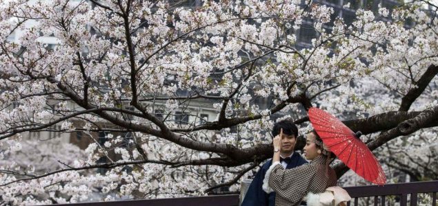 Vesnik klimatskih promena: Trešnjin cvet u Kjotu procvetao najranije do sada