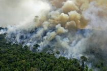 Amazonska prašuma sada emitira više CO2 nego što apsorbira