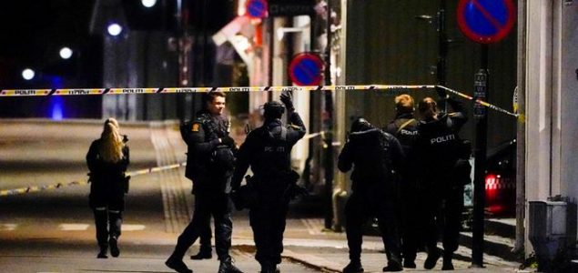 Za ubistvo pet ljudi lukom i strijelom u Norveškoj osumnjičen Danac