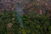 Amazonska prašuma mogla bi postati savana