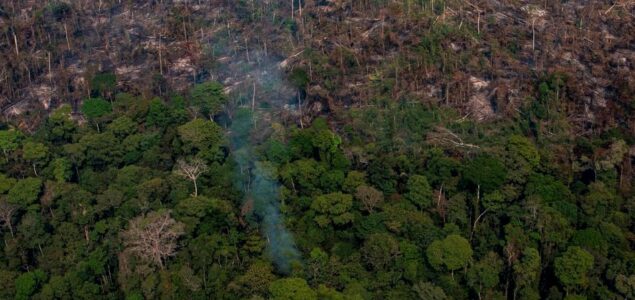 Amazonska prašuma mogla bi postati savana