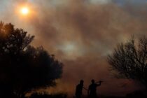 U požarima u Europi izgorjelo više nego u cijeloj prošloj godini