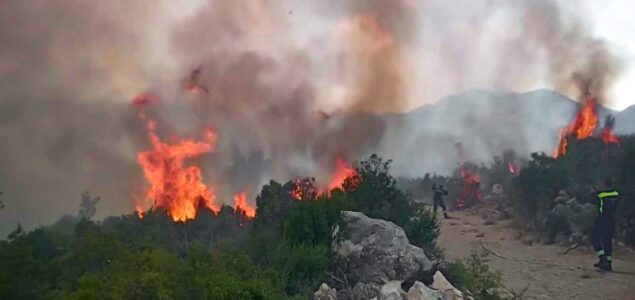 Neum u BiH proglasio stanje prirodne nesreće nakon požara