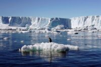 Obim leda na Antarktiku na najnižoj vrijednosti