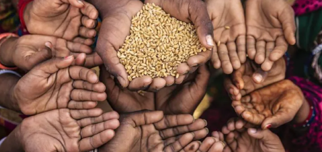 U svijetu se 345 miliona ljudi suočava s glađu