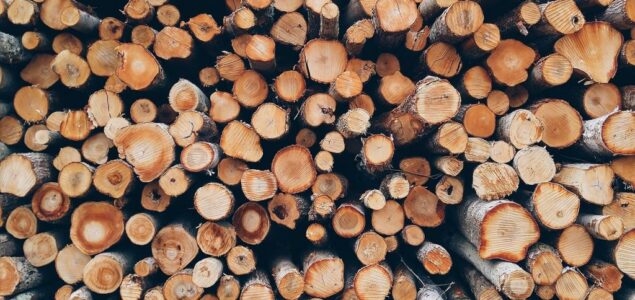 The Chinese bypassed the log export ban by buying sawmills in Srpska