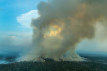 U Amazoniji nije bilo ovoliko požara od 2010. godine