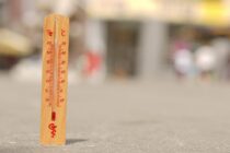 Najmanje 15.000 ljudi umrlo od vrućine u Evropi ove godine, saopštila SZO
