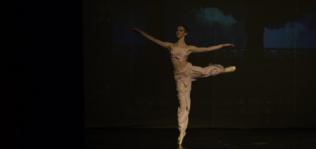 Balet u Vuku oduševio publiku